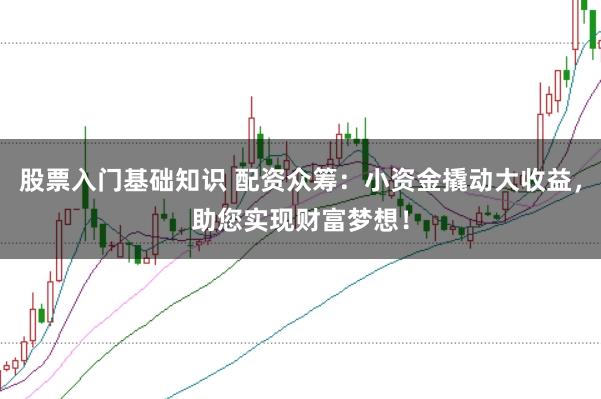 股票入门基础知识 配资众筹:小资金撬动大收益,助您实现财富梦想!