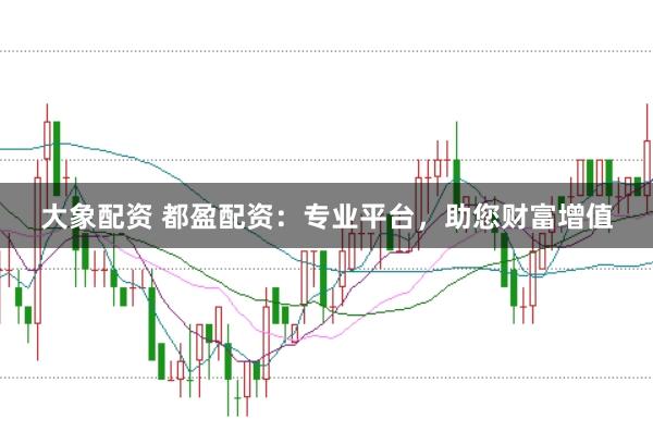 大象配资 都盈配资：专业平台，助您财富增值