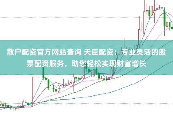 散户配资官方网站查询 天臣配资：专业灵活的股票配资服务，助您轻松实现财富增长