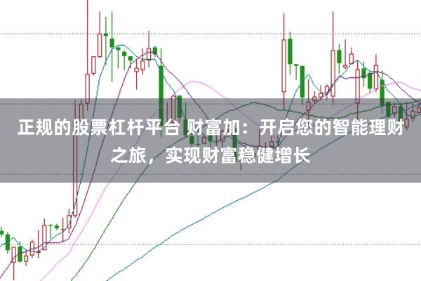正规的股票杠杆平台 财富加:开启您的智能理财之旅,实现财富稳健增长