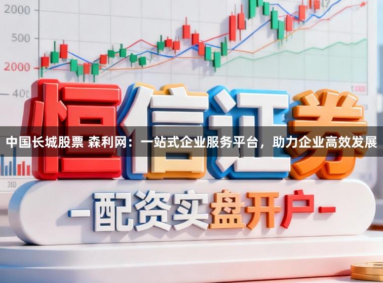 中国长城股票 森利网：一站式企业服务平台，助力企业高效发展