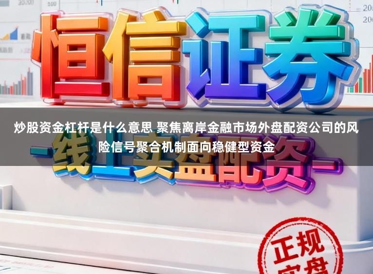 炒股资金杠杆是什么意思 聚焦离岸金融市场外盘配资公司的风险信号聚合机制面向稳健型资金